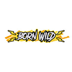 Câștig Born WILD
